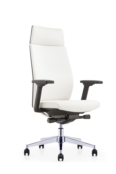 Ƥ����CH-240A-�� (2)