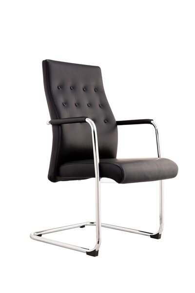 Ƥ����CH-217C �� (2)