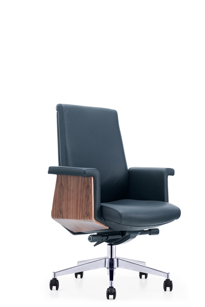 Ƥ����CH-250B